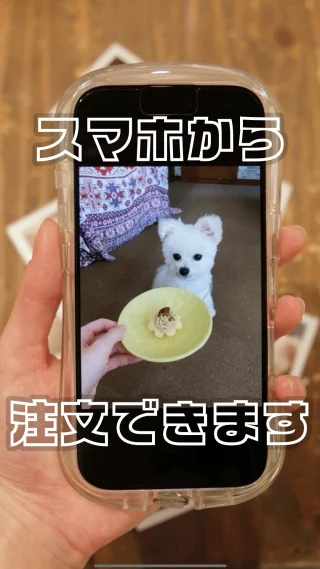アイドルカメラ部 写真展 鎌倉 2022 廣川奈々聖 写真パネル サイン入り アイドルカメラ部｜廣川奈々聖｜A3サイズプリント（サイン入り